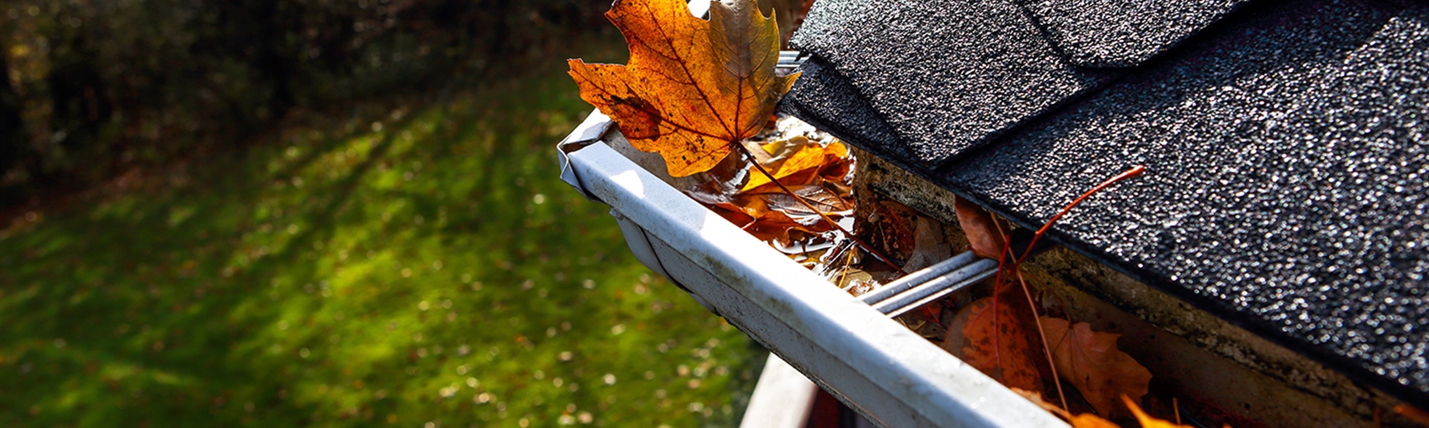Preparing Your Home for Fall: Essential Tips for a Cozy and Efficient Season