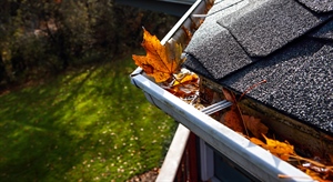 Preparing Your Home for Fall: Essential Tips for a Cozy and Efficient Season