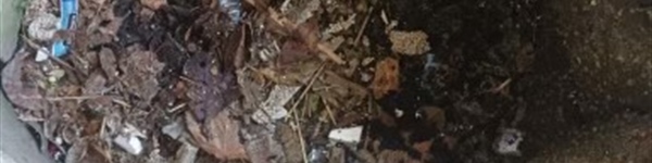 Clean Out Drywells to Prevent Flooding